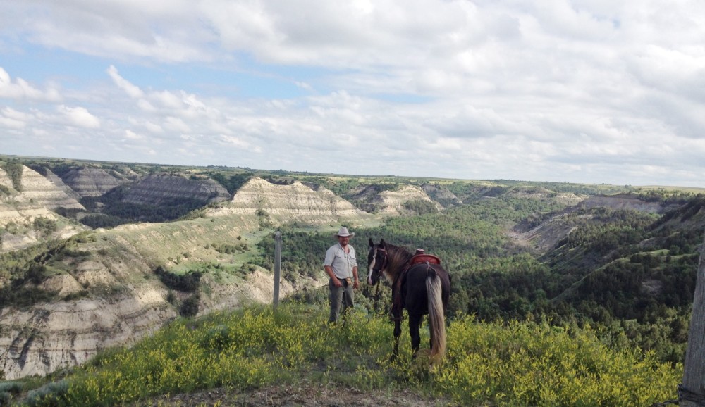 Rocky Mountain Horse, Trail Riding in North Dakota, chocolate horse, North Dakota Badlands